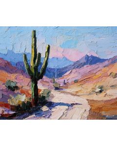 CACTUS BESIDE DESERT TRAIL