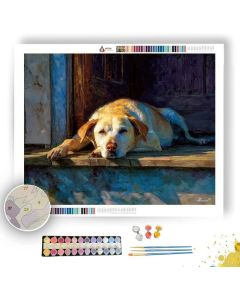 DOG RESTING ON PORCH - Paint by Numbers Full Kit