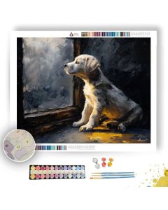 PUPPY LOOKING OUTSIDE - Paint by Numbers Full Kit