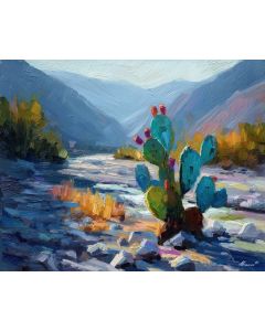 CACTUS NEAR DRY RIVERBED
