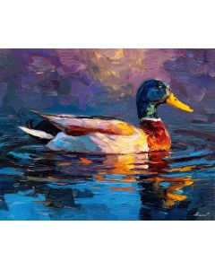 DUCK WATCHING RIPPLES