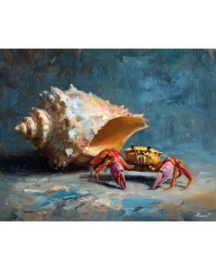 SHELL BESIDE SMALL CRAB