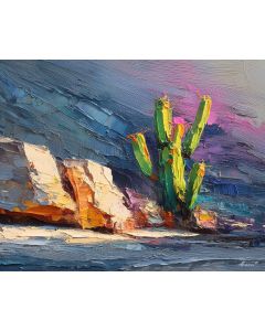 CACTUS BESIDE ROCKS