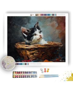 KITTEN IN BASKET - Paint by Numbers Full Kit