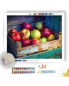 APPLES FROM ORCHARD SHED - Paint by Numbers Full Kit