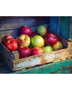 APPLES FROM ORCHARD SHED