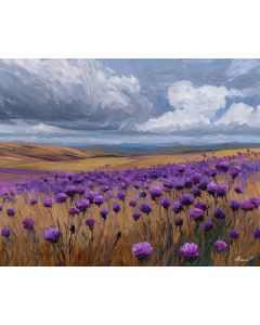 THISTLE FIELD WIND