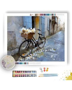 JASMINE BICYCLE BASKET - Paint by Numbers Full Kit