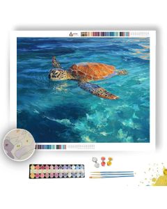 CLEAR HALO STONE - Paint by Numbers Full Kit