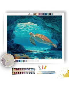 CLEAR VIGNETTE - Paint by Numbers Full Kit