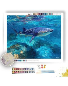 IRON ROCK PATH - Paint by Numbers Full Kit