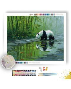 REFLECTION PASSAGE - Paint by Numbers Full Kit