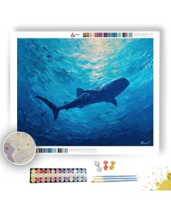 EXPANSE THRESHOLD - Paint by Numbers Full Kit