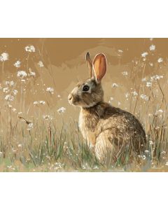 MEADOW STUDY SAND
