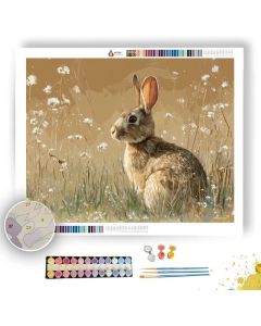 MEADOW STUDY SAND - Paint by Numbers Full Kit