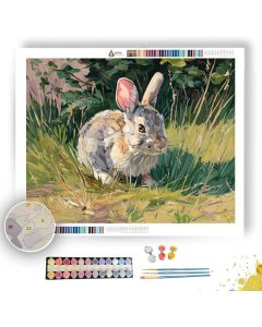 COTTAGE WATERLINE SHADOW - Paint by Numbers Full Kit