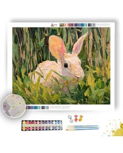 SPRING SPARK - Paint by Numbers Full Kit