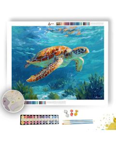 WATER SOFT WINDOW - Paint by Numbers Full Kit