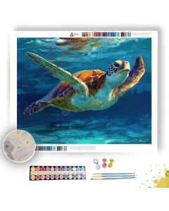 MOONLIT SUNBEAM DETAIL - Paint by Numbers Full Kit