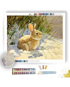SAND SOFT - Paint by Numbers Full Kit