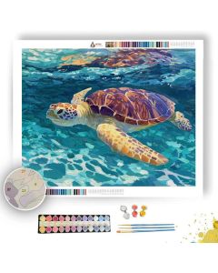 CLEAR RHYTHM VIOLET - Paint by Numbers Full Kit