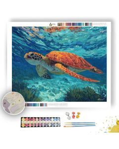 CLEAR PASSAGE - Paint by Numbers Full Kit