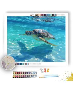 WINDOW CLEAR - Paint by Numbers Full Kit