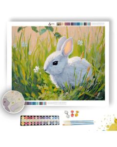 CLOUD SPRING - Paint by Numbers Full Kit