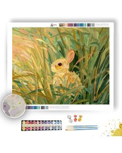 GRASS HUSH - Paint by Numbers Full Kit