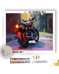 QUIET LIGHT - Paint by Numbers Full Kit