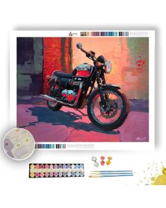 STONE CHROME - Paint by Numbers Full Kit