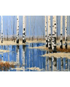 BIRCH WETLAND
