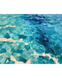REEF SHALLOWS