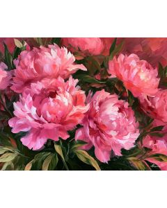 PEONIES HIDE IN WARM HAZE