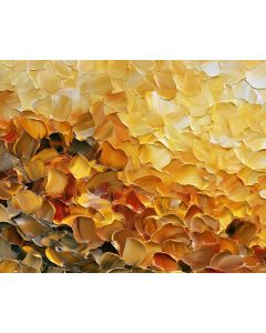 HONEY HIDE A SMALL SUN