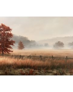 FOGGY AUTUMN FIELD
