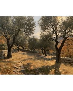 FALL OLIVE GROVE