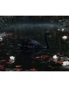 THE BLACK SWAN