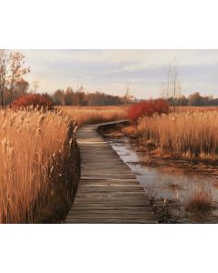 FALL BOARDWALK