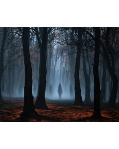 GHOSTLY FOREST