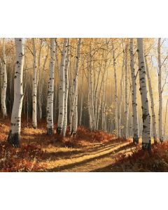 FALL BIRCH FOREST