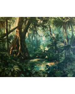 DARIEN RAINFOREST