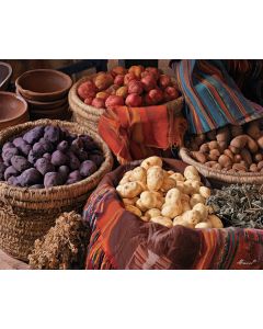 ANDEAN POTATO MARKET
