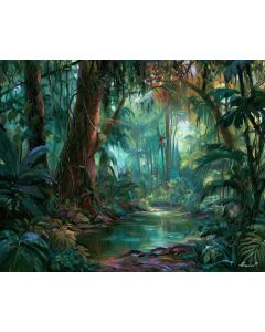 CORCOVADO RAINFOREST