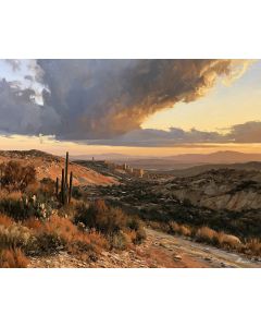 ZACATECAS DESERT MINING HILLS