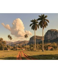 ROYAL PALM COUNTRYSIDE