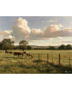 PARAGUAY RANCH HORSES