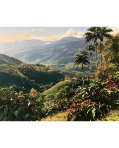COFFEE REGION HILLS