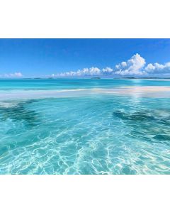 LOS ROQUES SHALLOWS