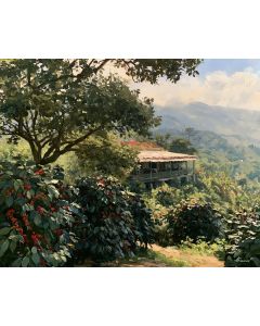 PUERTO RICAN COFFEE HACIENDA